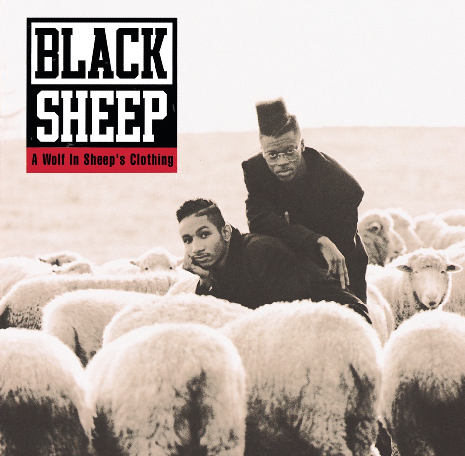 Black Sheep - A Wolf in Sheep's Clothing